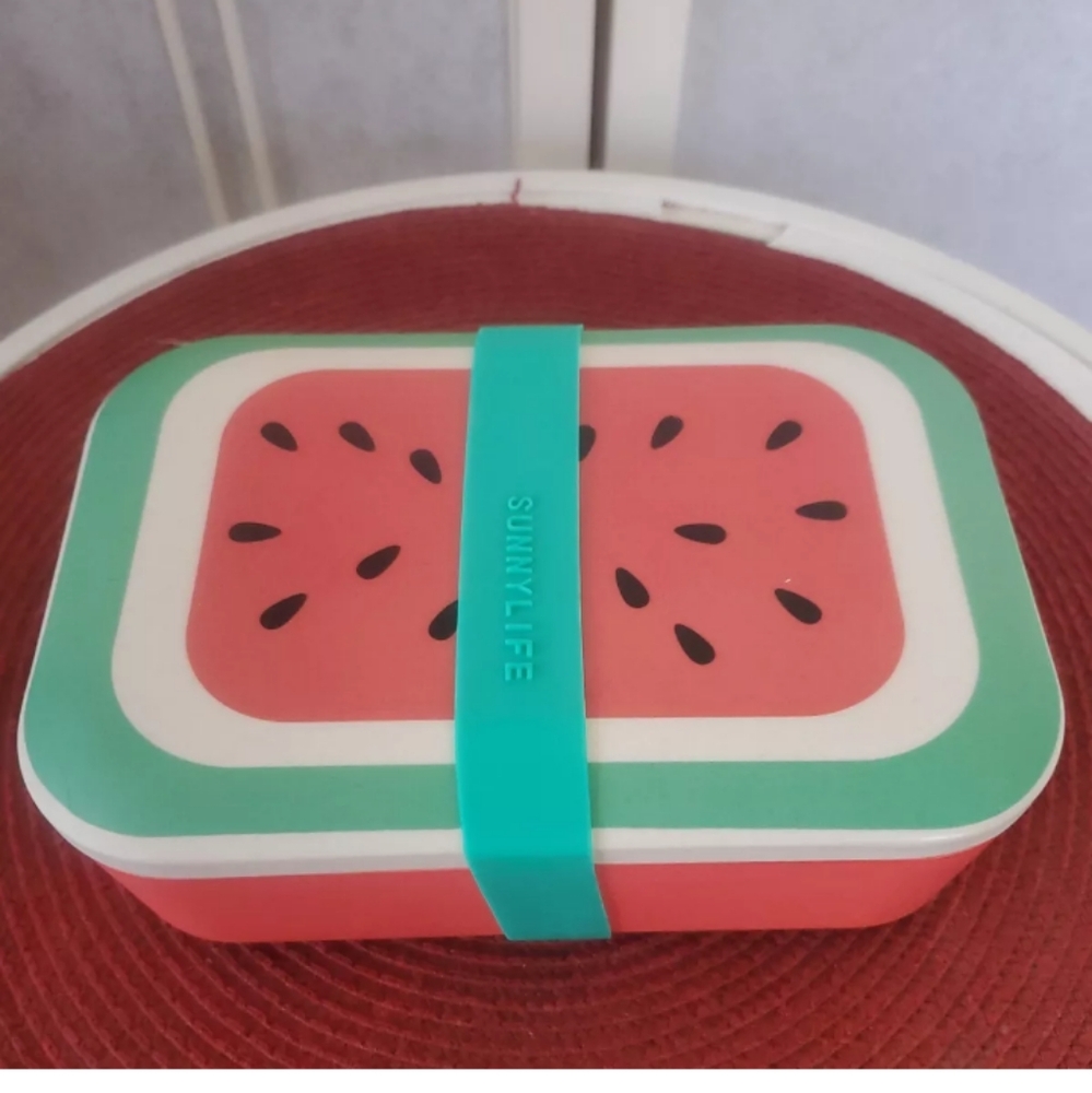 Watermelon Bento Box